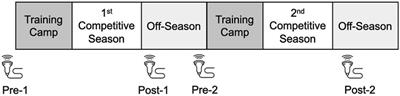 The effect of attending rehabilitation after traumatic knee joint injury on femoral articular cartilage morphology in collegiate rugby players with a history of intracapsular knee joint injury during two-year consecutive rugby seasons